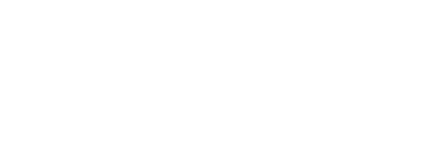 StarClean Vision